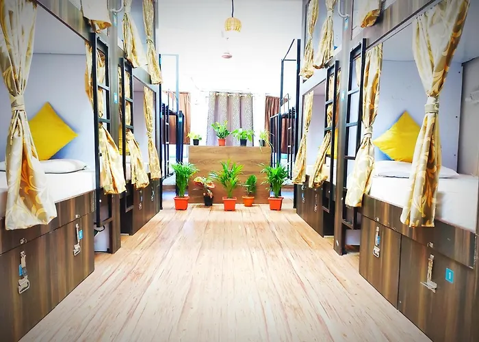 Backpackers Inn